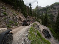 BlackBear-7648 : Ouray