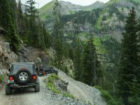 BlackBear-7653 : Ouray