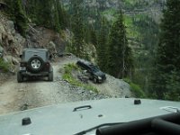 BlackBear-7657 : Ouray