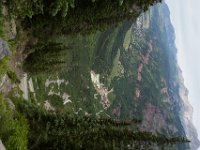 BlackBear-7662 : Ouray