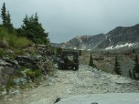 BlackBear-7677 : Ouray