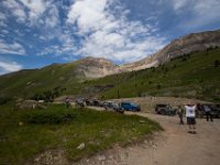 BlackBear-7682 : Ouray