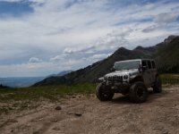 BlackBear-7692 : Ouray