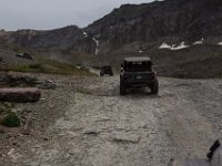 BlackBear-7699 : Ouray