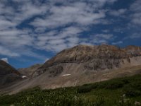 BlackBear-7706 : Ouray