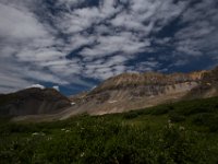 BlackBear-7707 : Ouray