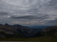 BlackBear-7717 : Ouray