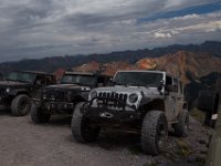 BlackBear-7723 : Ouray