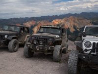 BlackBear-7725 : Ouray