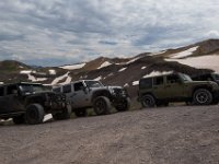 BlackBear-7737 : Ouray