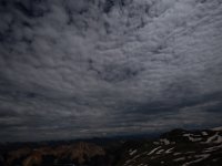 BlackBear-7763 : Ouray