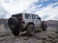 BlackBear-7781 : Ouray