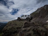 BlackBear-7785 : Ouray