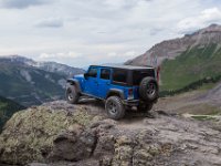 BlackBear-7792 : Ouray