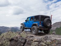 BlackBear-7793 : Ouray