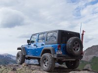 BlackBear-7794 : Ouray