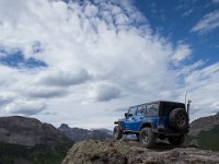 BlackBear-7795 : Ouray