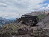 BlackBear-7816 : Ouray