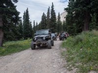 BlackBear-7829 : Ouray