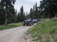 BlackBear-7830 : Ouray