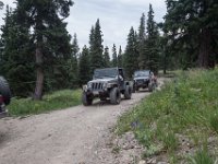 BlackBear-7832 : Ouray