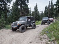 BlackBear-7834 : Ouray