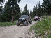 BlackBear-7835 : Ouray