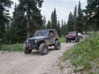 BlackBear-7836 : Ouray