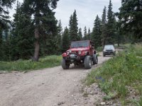 BlackBear-7837 : Ouray