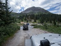 BlackBear-7843 : Ouray