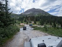 BlackBear-7845 : Ouray