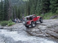 BlackBear-7852 : Ouray