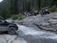 BlackBear-7853 : Ouray