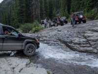 BlackBear-7854 : Ouray