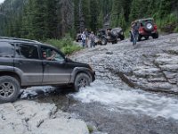 BlackBear-7855 : Ouray