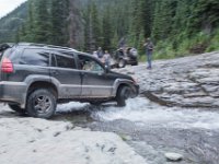 BlackBear-7862 : Ouray