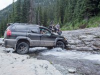 BlackBear-7866 : Ouray