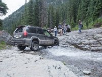 BlackBear-7870 : Ouray