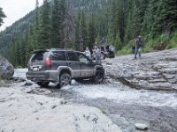 BlackBear-7873 : Ouray