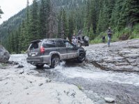 BlackBear-7874 : Ouray