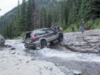 BlackBear-7876 : Ouray