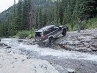 BlackBear-7878 : Ouray