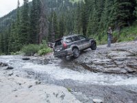 BlackBear-7879 : Ouray