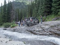 BlackBear-7882 : Ouray