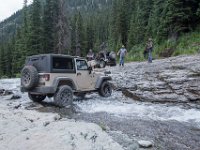 BlackBear-7883 : Ouray