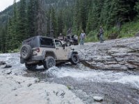 BlackBear-7884 : Ouray