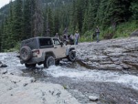 BlackBear-7886 : Ouray