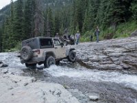 BlackBear-7887 : Ouray