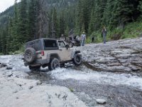 BlackBear-7889 : Ouray