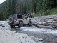 BlackBear-7891 : Ouray